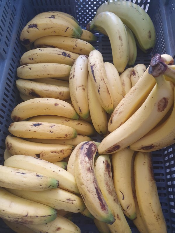 Banane (1 kg)